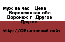 муж на час › Цена ­ 100 - Воронежская обл., Воронеж г. Другое » Другое   